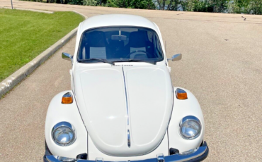 Volkswagen-Beetle-Classic-1974-3