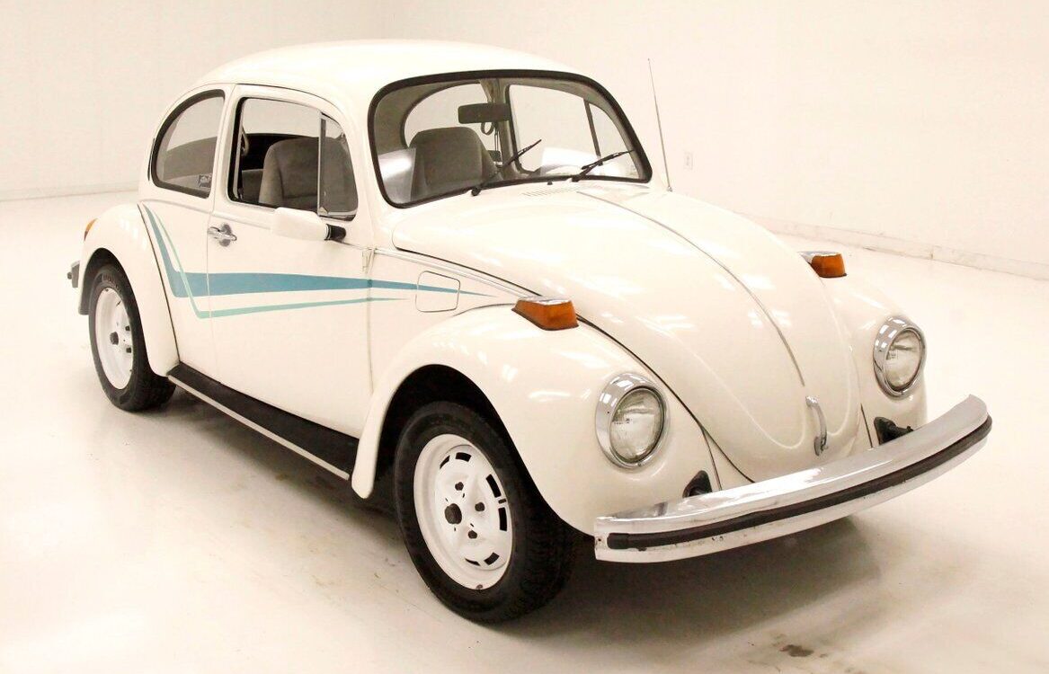 Volkswagen-Beetle-Classic-1974-6