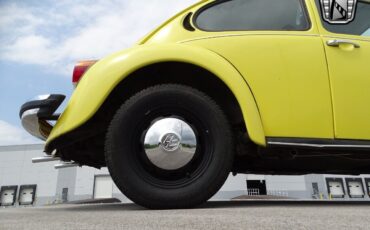 Volkswagen-Beetle-Classic-1974-8