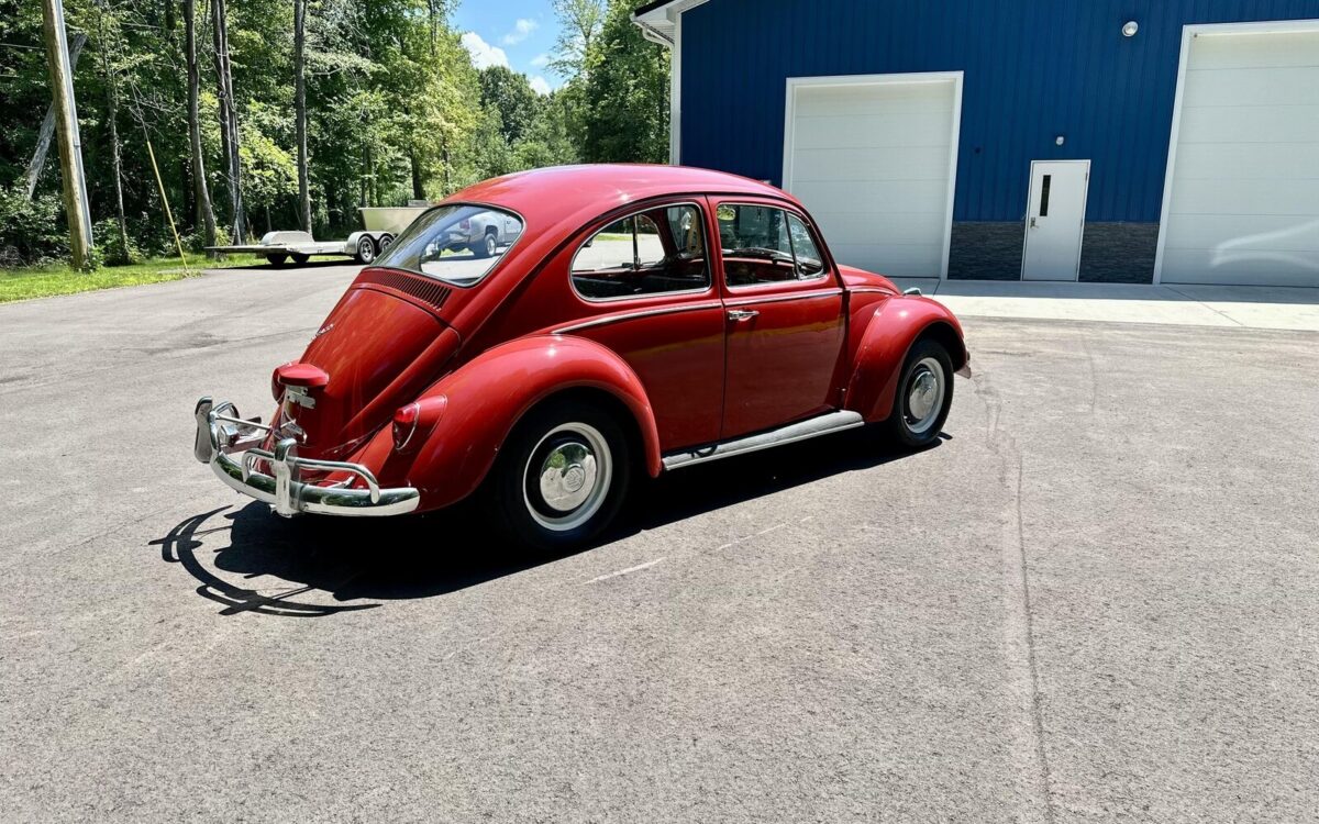Volkswagen-Beetle-Classic-Coupe-1967-9