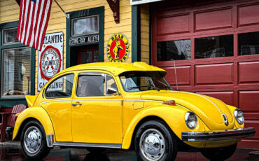 Volkswagen Beetle-New  year1}