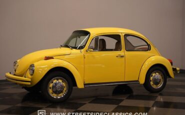 Volkswagen-Beetle-New-1974-8