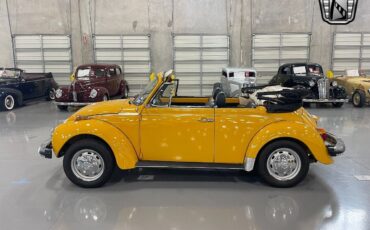 Volkswagen-Beetle-New-1978-3