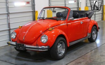 Volkswagen-Beetle-New-1979-10