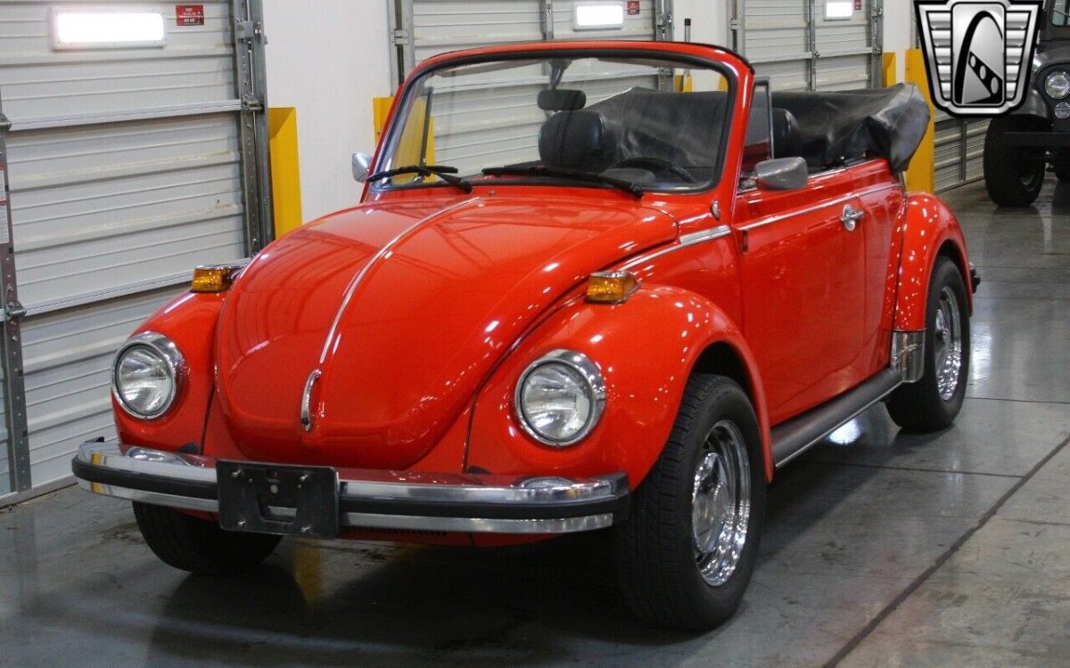 Volkswagen-Beetle-New-1979-11