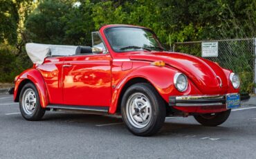 Volkswagen Beetle-New  1979