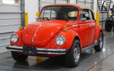 Volkswagen-Beetle-New-1979-3