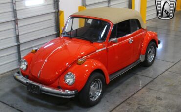 Volkswagen-Beetle-New-1979-5