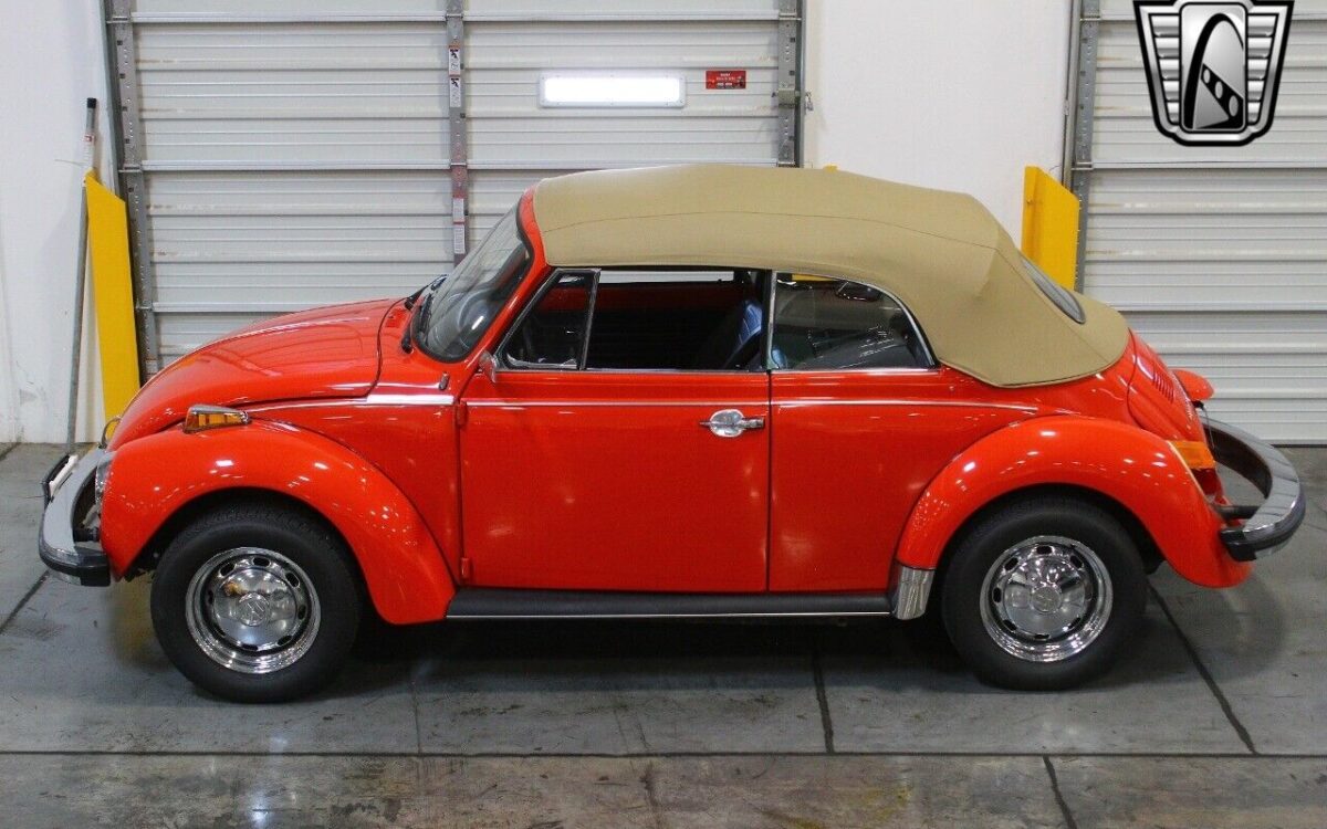 Volkswagen-Beetle-New-1979-6