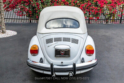 Volkswagen-Super-Beetle-1974-10