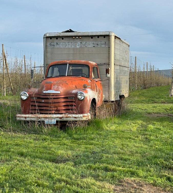 Chevrolet-Box-truck-1951-2