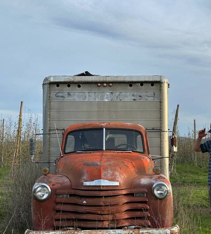 Chevrolet-Box-truck-1951-3