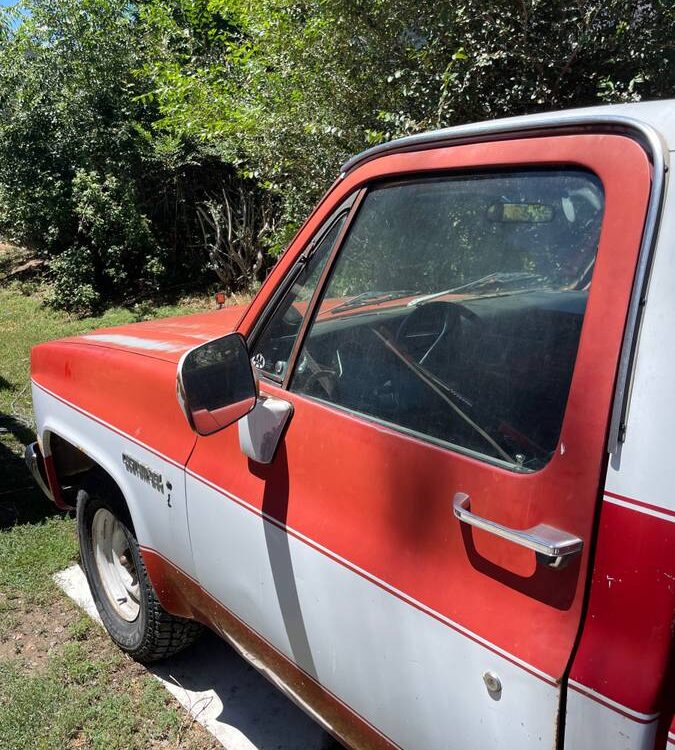 Chevrolet-C10-1982-18