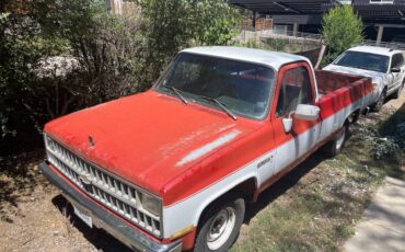 Chevrolet-C10-1982-20