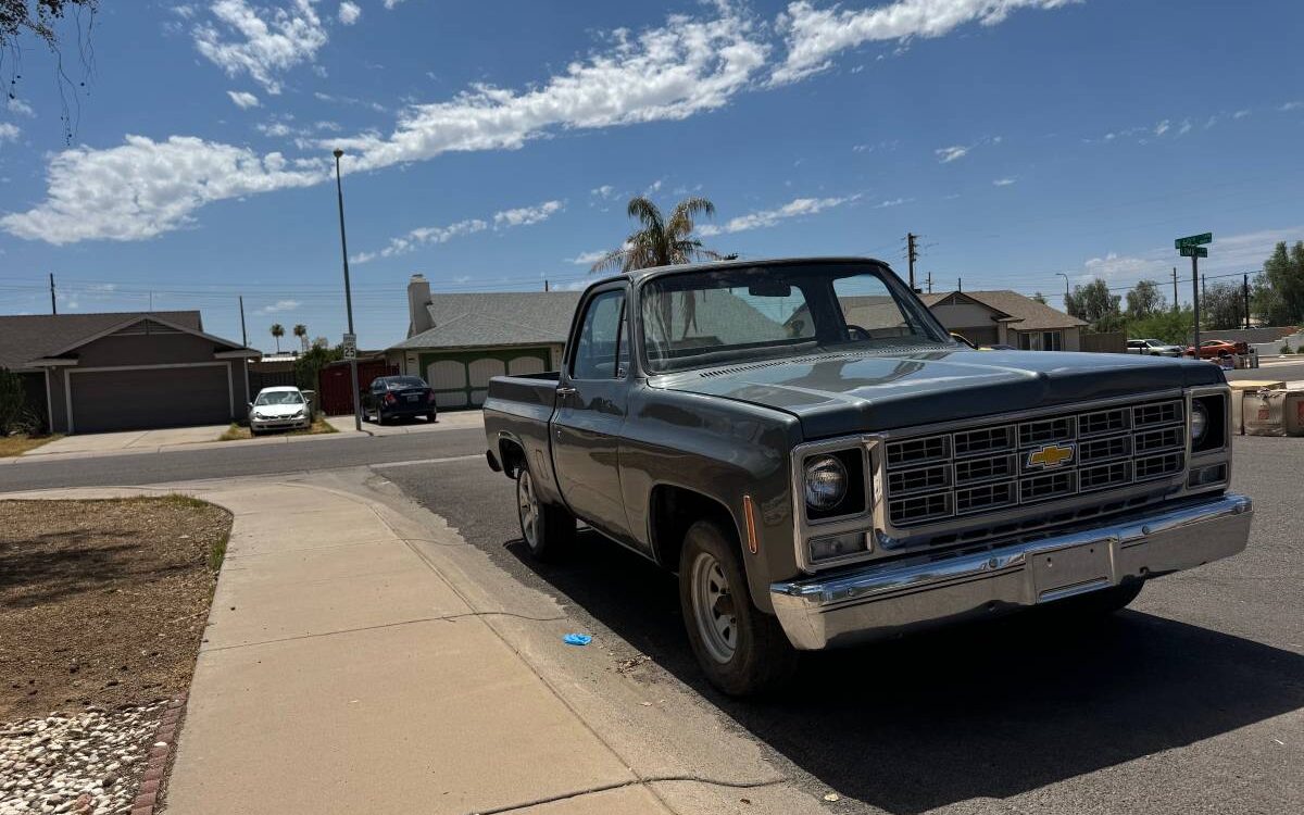 Chevrolet-C10-truck-1979-1