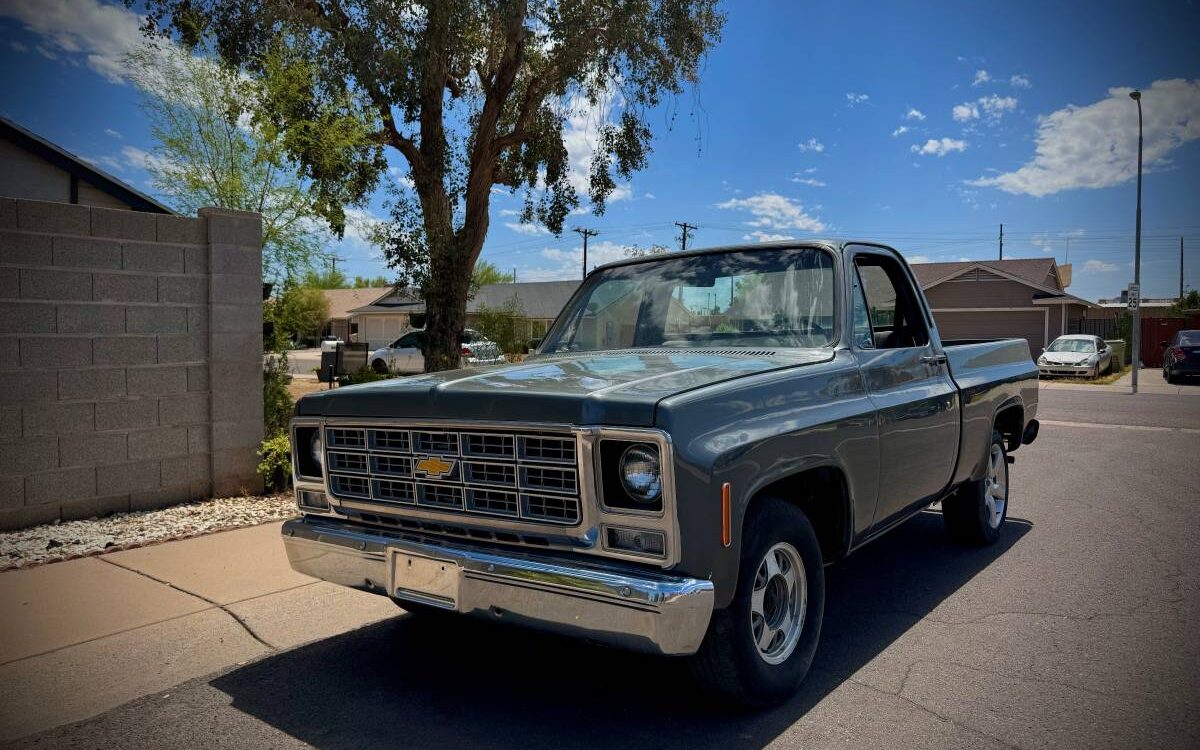 Chevrolet-C10-truck-1979