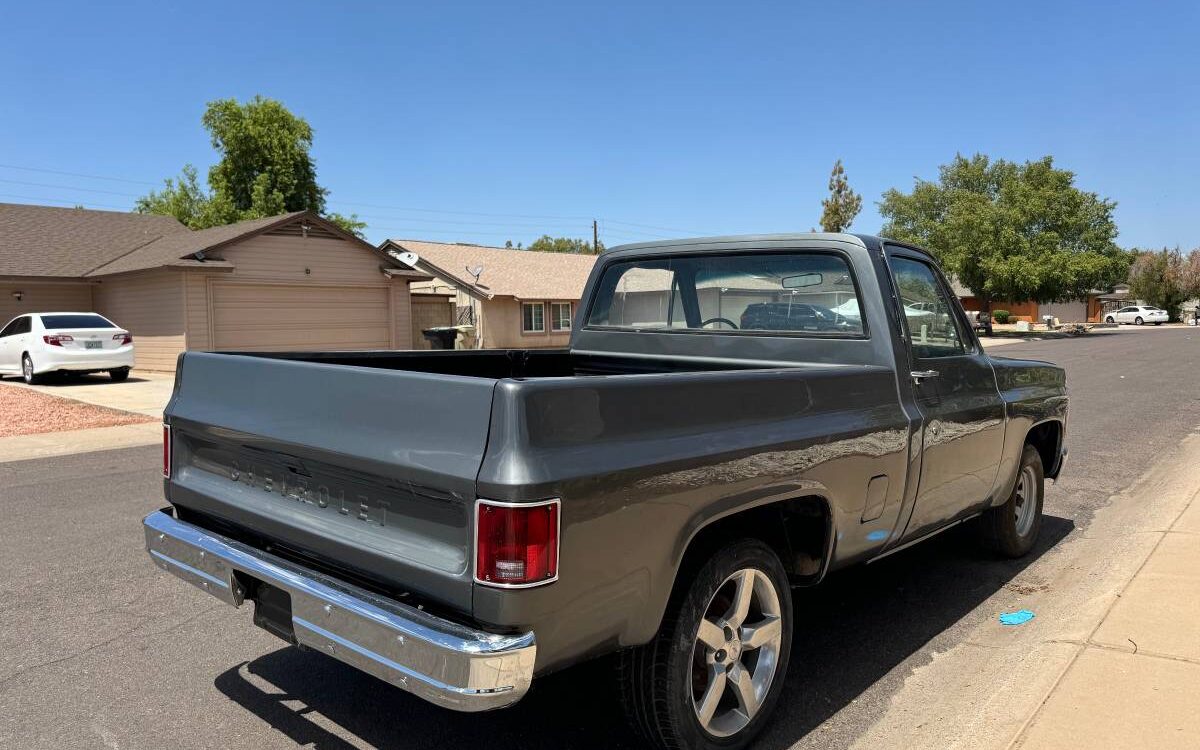 Chevrolet-C10-truck-1979-2