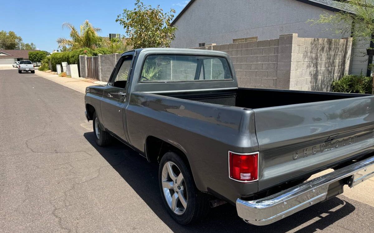 Chevrolet-C10-truck-1979-3