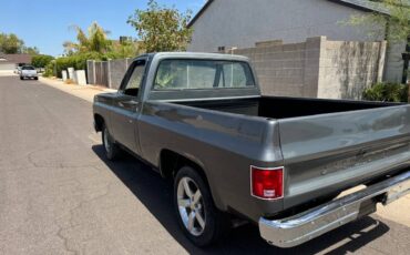 Chevrolet-C10-truck-1979-3