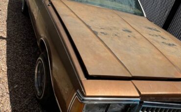 Chevrolet-Caprice-classic-1979-2