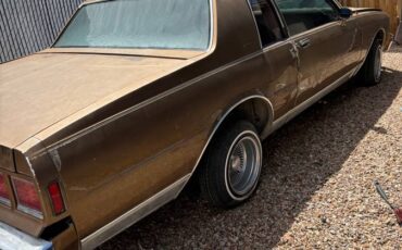 Chevrolet-Caprice-classic-1979