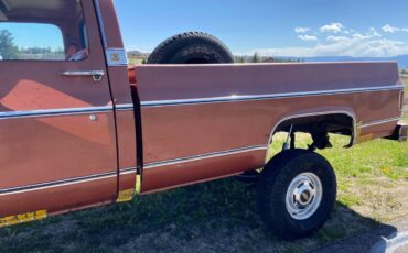 Chevrolet-Cheyenne-k10-1978-18