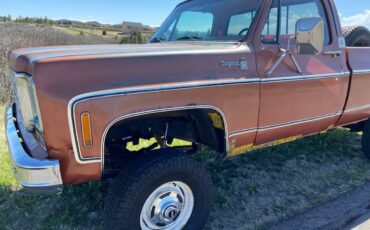 Chevrolet-Cheyenne-k10-1978-3