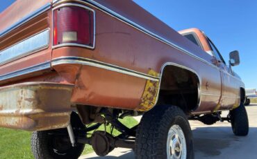 Chevrolet-Cheyenne-k10-1978-7