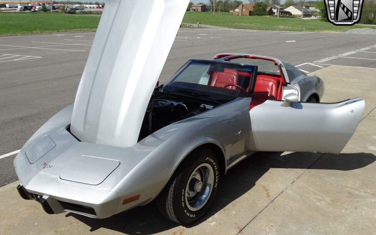 Chevrolet-Corvette-1977-11