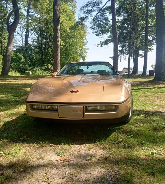 Chevrolet-Corvette-1985-1