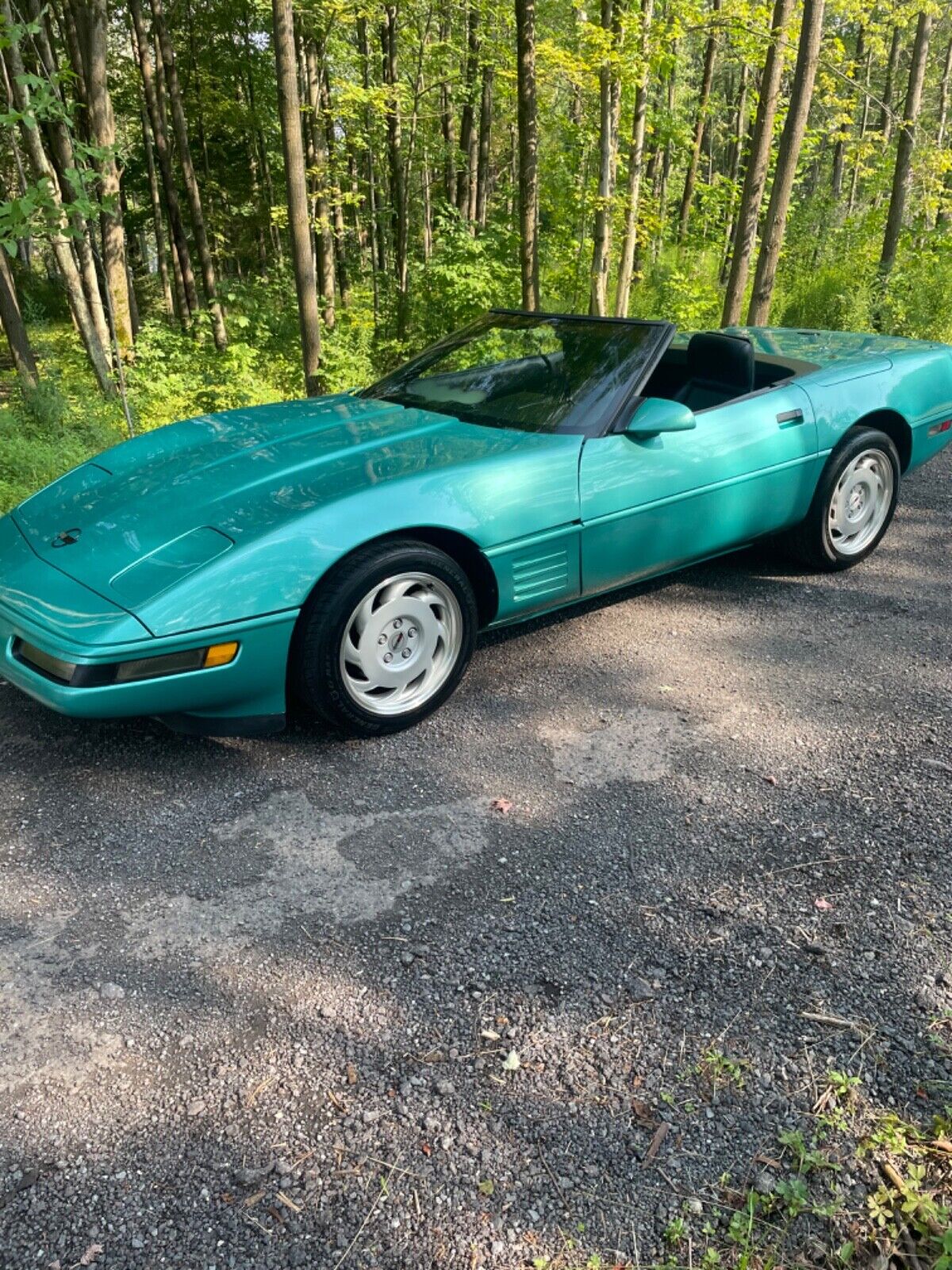 Chevrolet Corvette Cabriolet 1991 à vendre