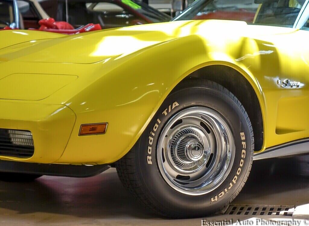 Chevrolet-Corvette-Coupe-1976-3