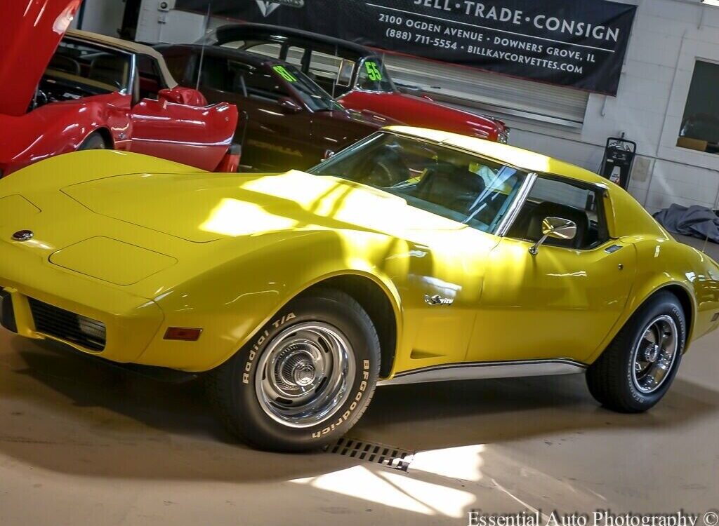 Chevrolet-Corvette-Coupe-1976-4