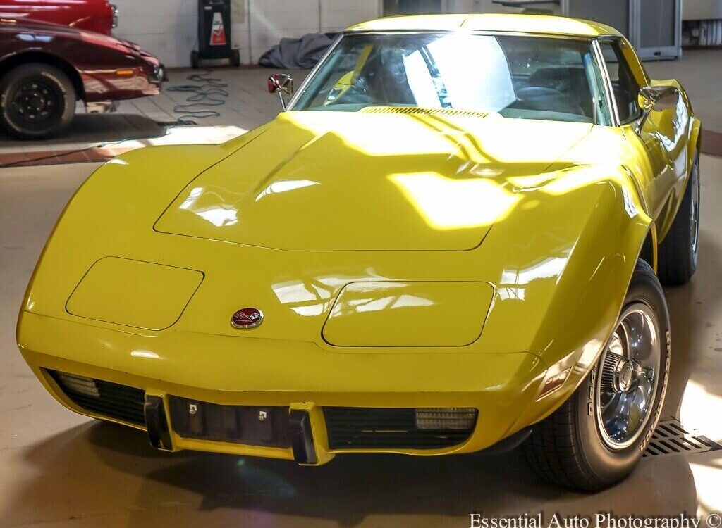 Chevrolet-Corvette-Coupe-1976-5