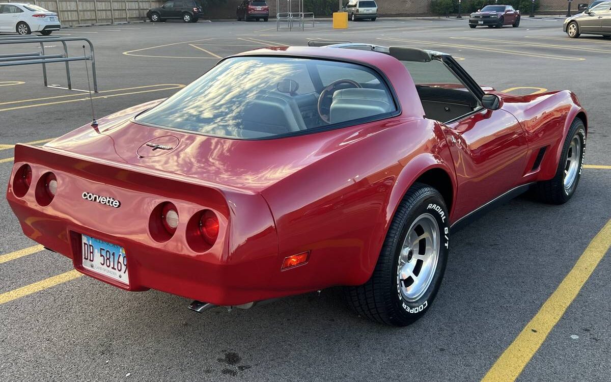 Chevrolet-Corvette-stingray-1981-10