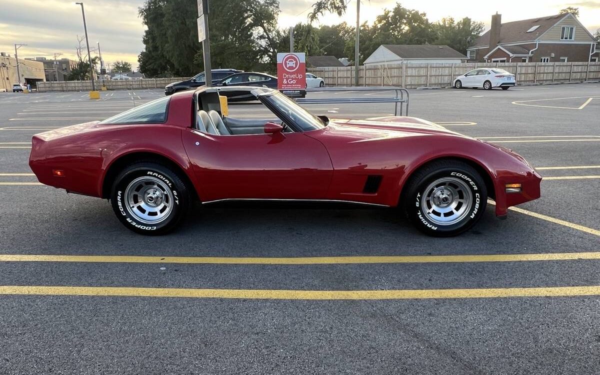 Chevrolet-Corvette-stingray-1981-14