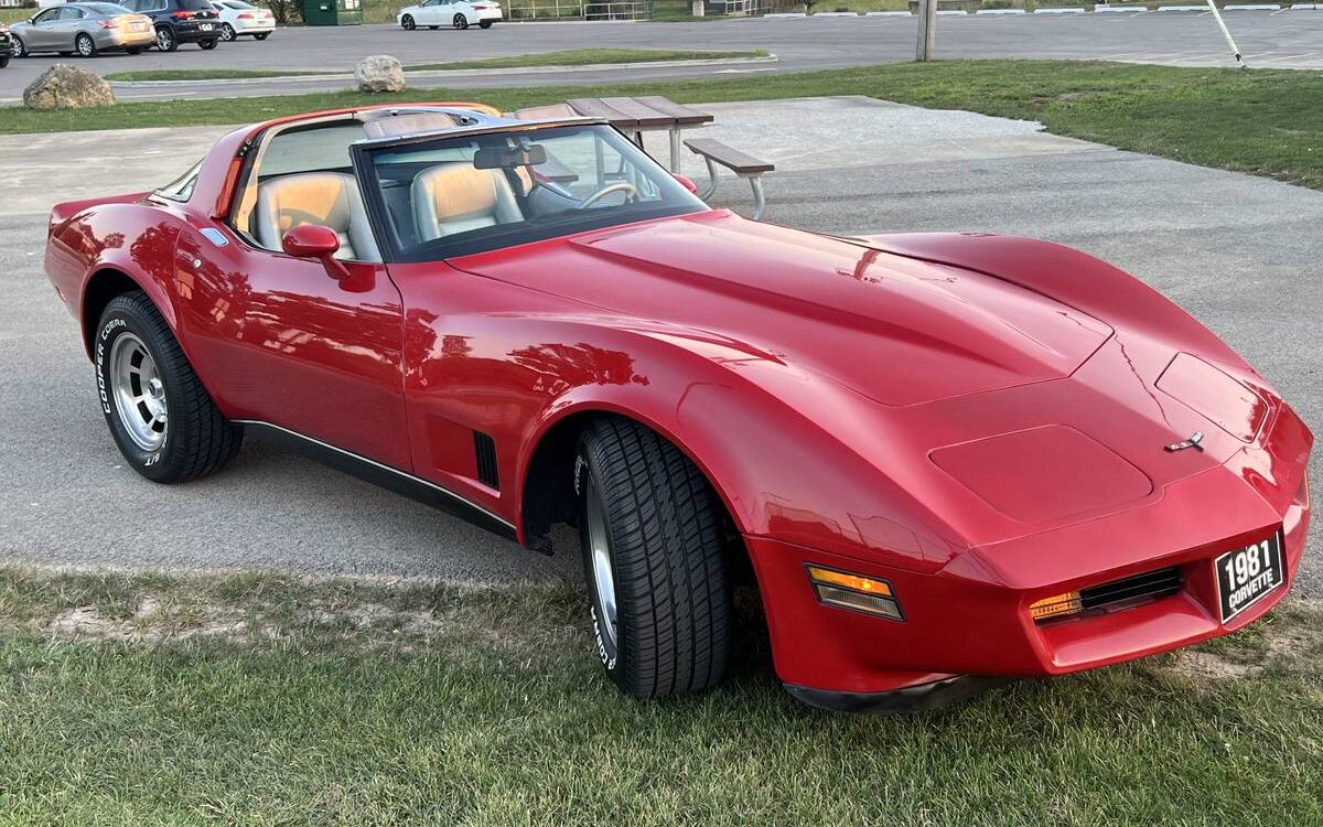 Chevrolet-Corvette-stingray-1981-20