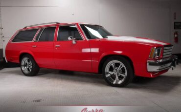 Chevrolet-Malibu-classic-wagon-1979-21