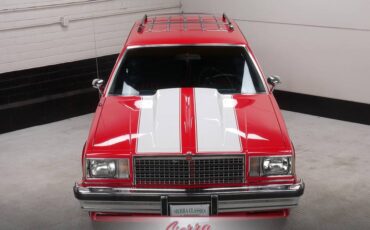 Chevrolet-Malibu-classic-wagon-1979-22