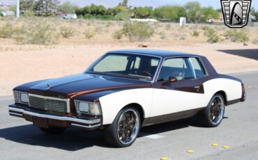 Chevrolet-Monte-Carlo-1978-4