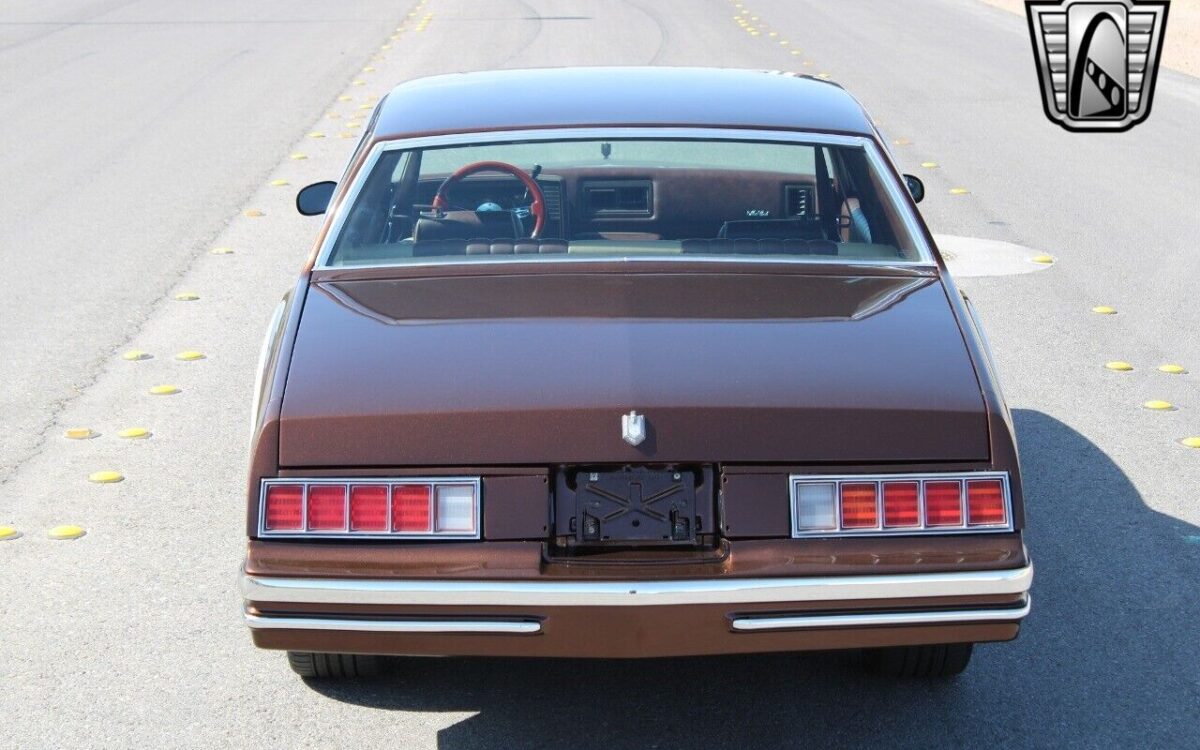 Chevrolet-Monte-Carlo-1978-7