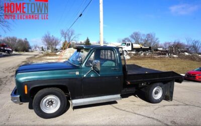 Chevrolet Other Pickups 1975 à vendre