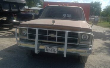 Chevrolet-Silverado-1979-4