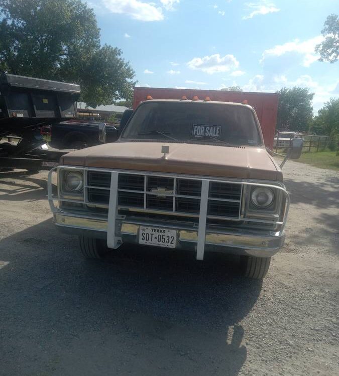 Chevrolet-Silverado-1979-4