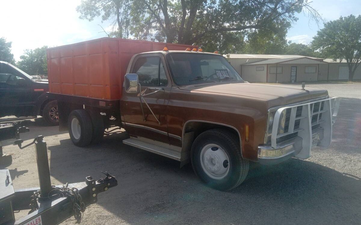 Chevrolet-Silverado-1979-5