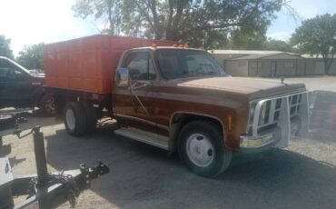 Chevrolet-Silverado-1979-5