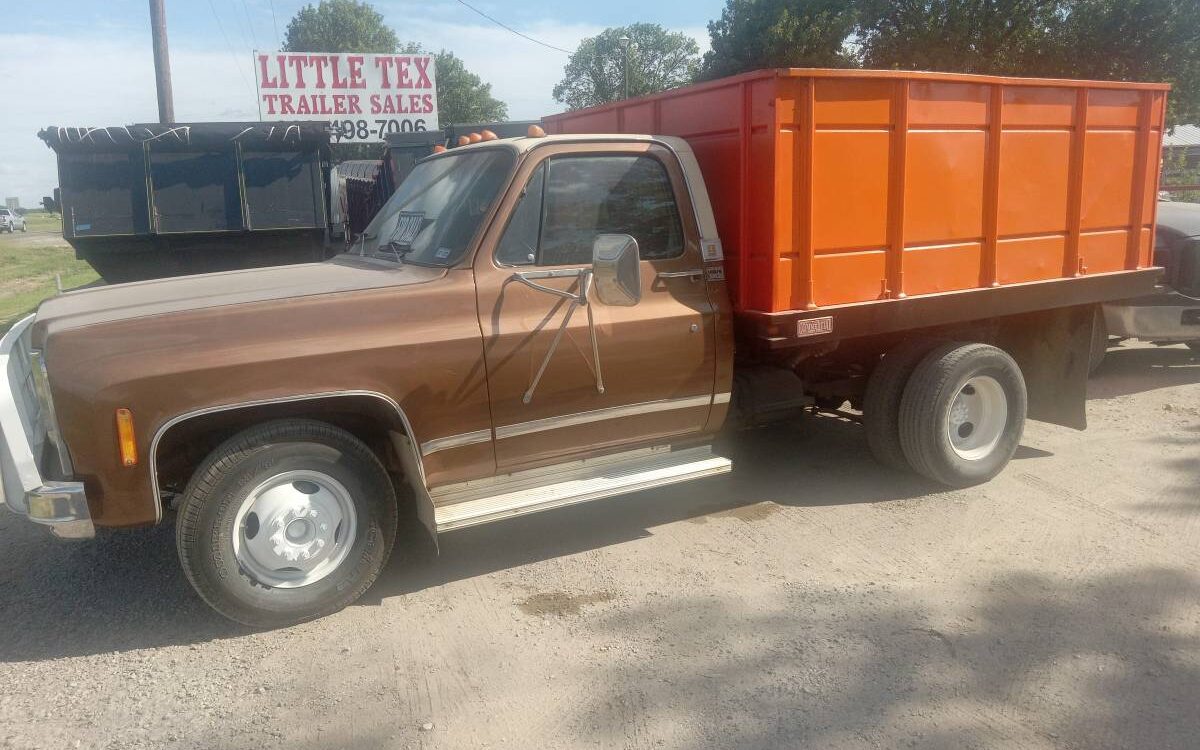 Chevrolet-Silverado-1979-6