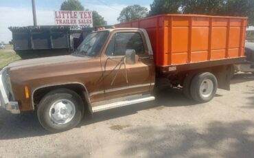 Chevrolet-Silverado-1979-6