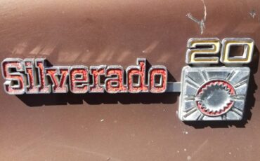 Chevrolet-Silverado-2500hd-1979-3