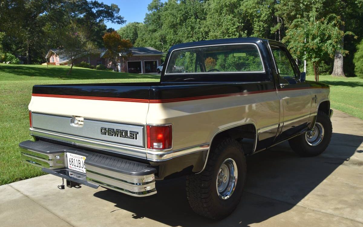 Chevrolet-Silverado-c10-1984-5